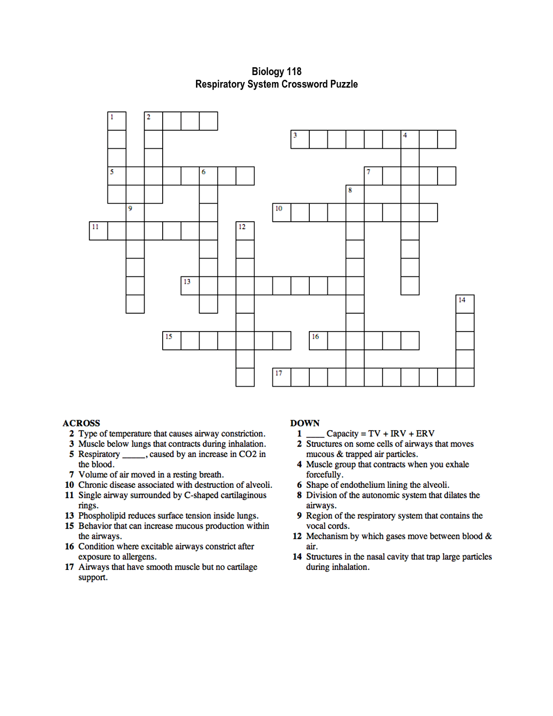 Respiratory System Crossword Puzzle | Activity Shelter