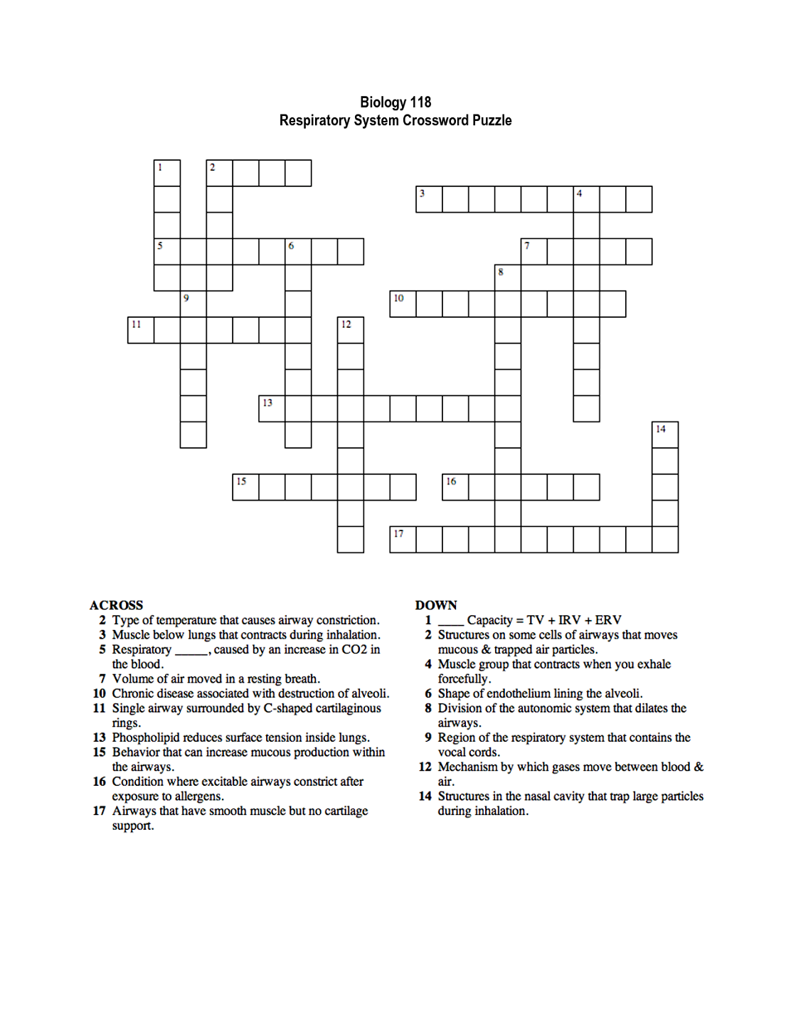 Respiratory System Crossword Puzzle Activity Shelter
