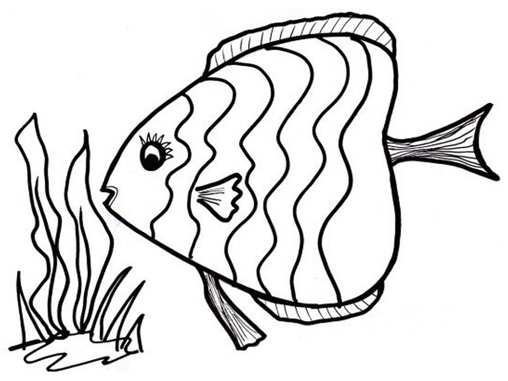 fish coloring page preschool