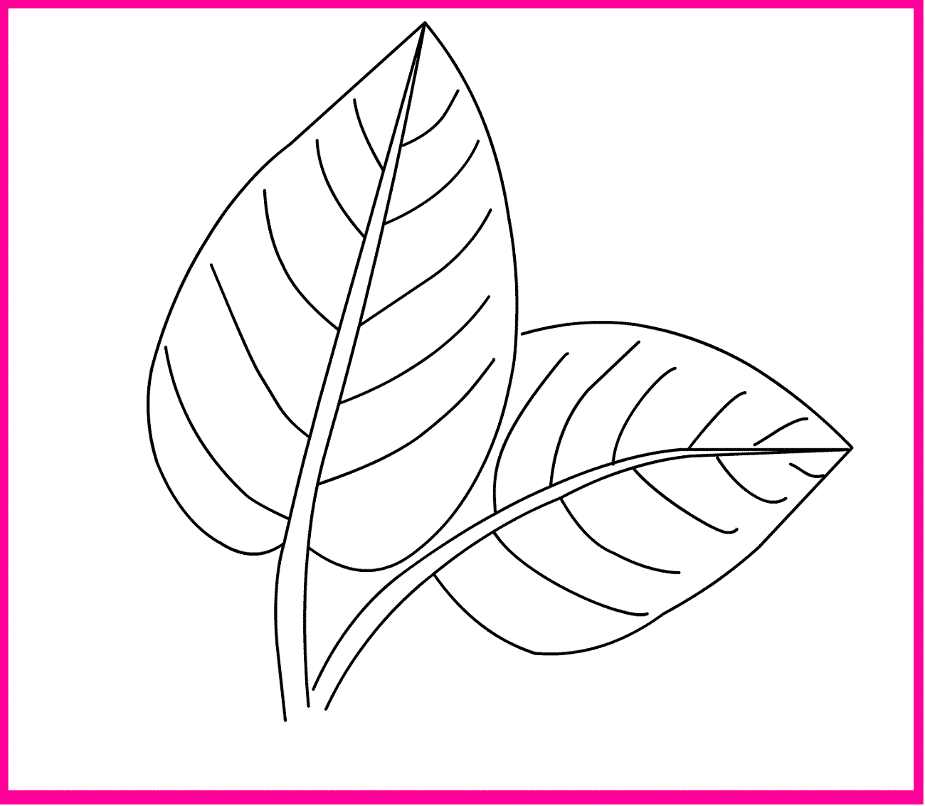 images leaves coloring pages - photo #39
