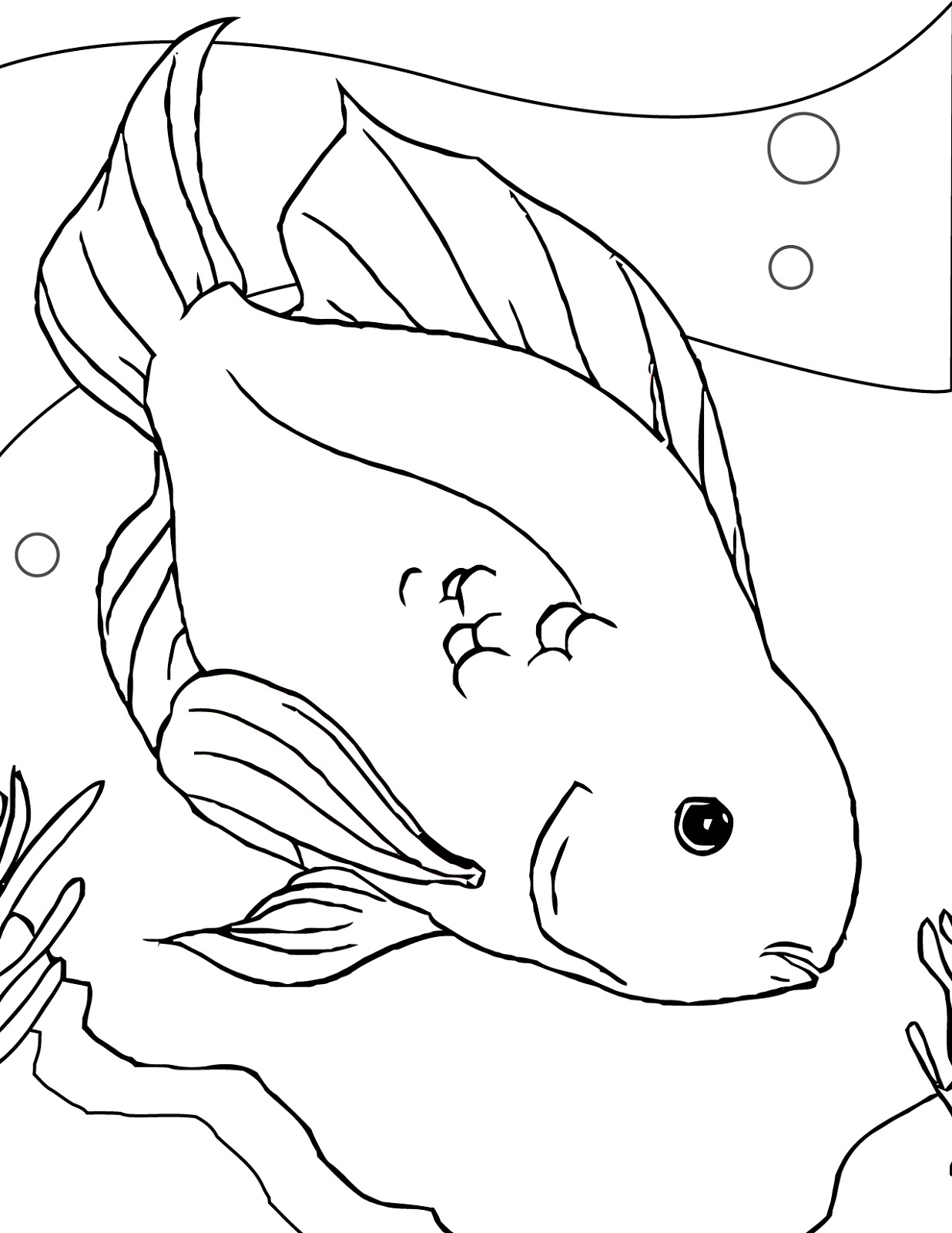 la state freshwater fish coloring pages - photo #29
