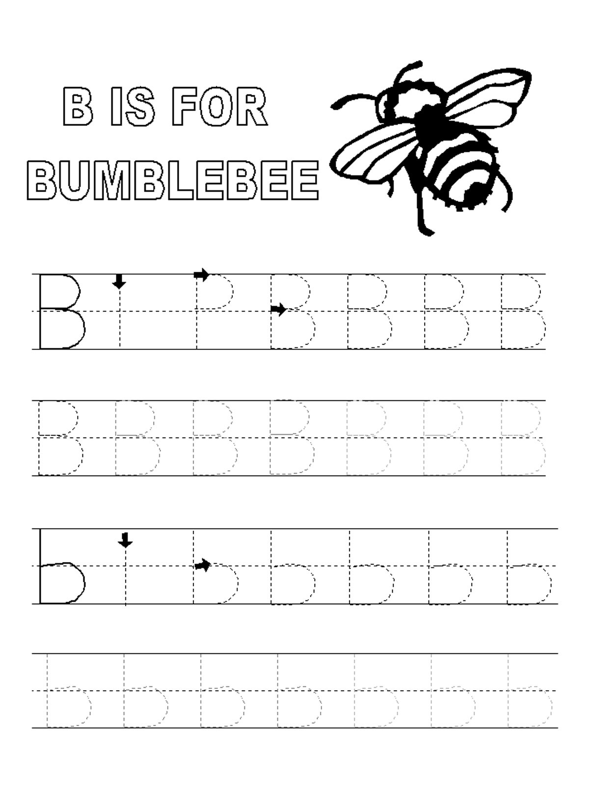 alphabet tracing pages letter B