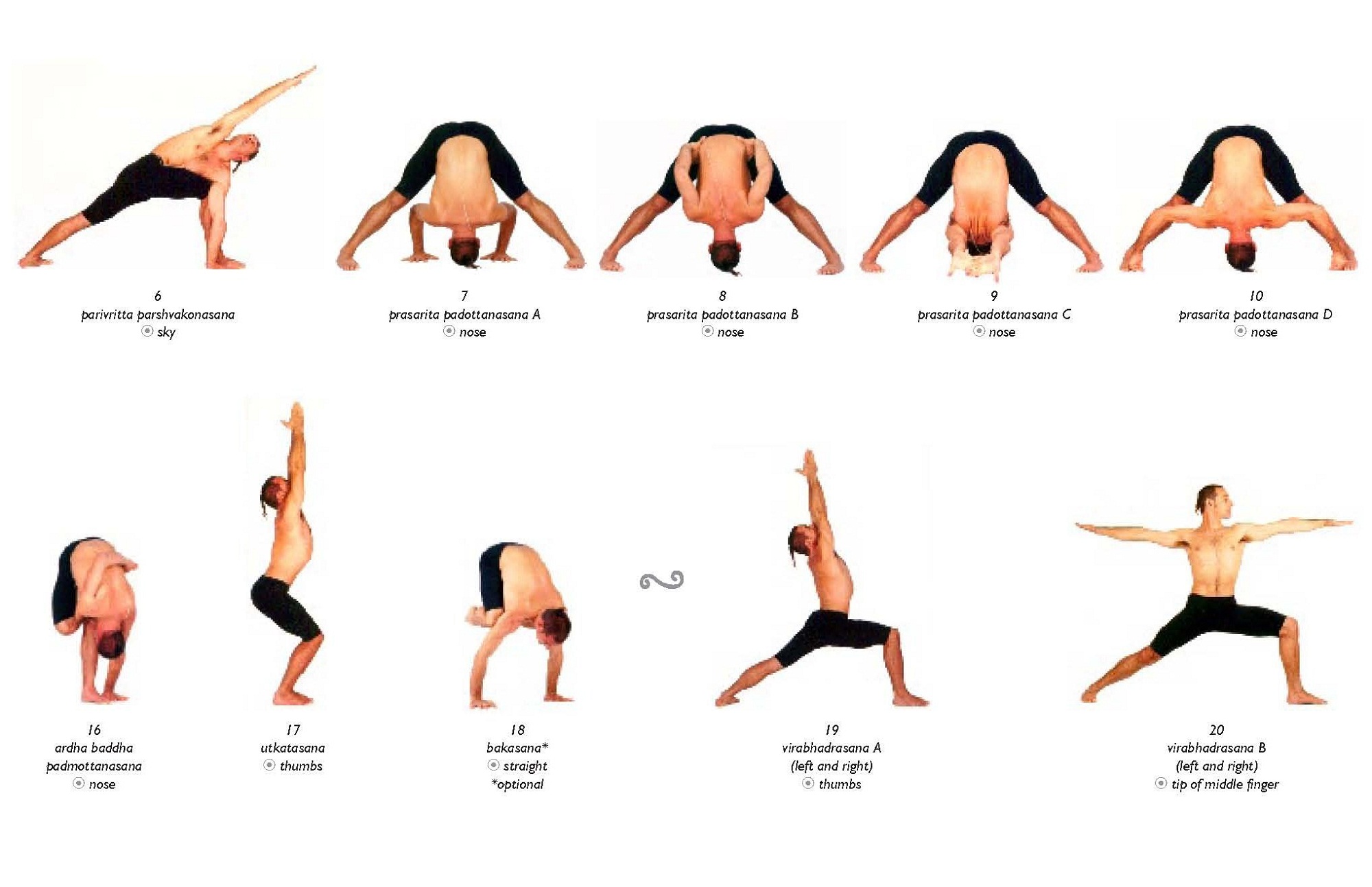 asanas yoga free