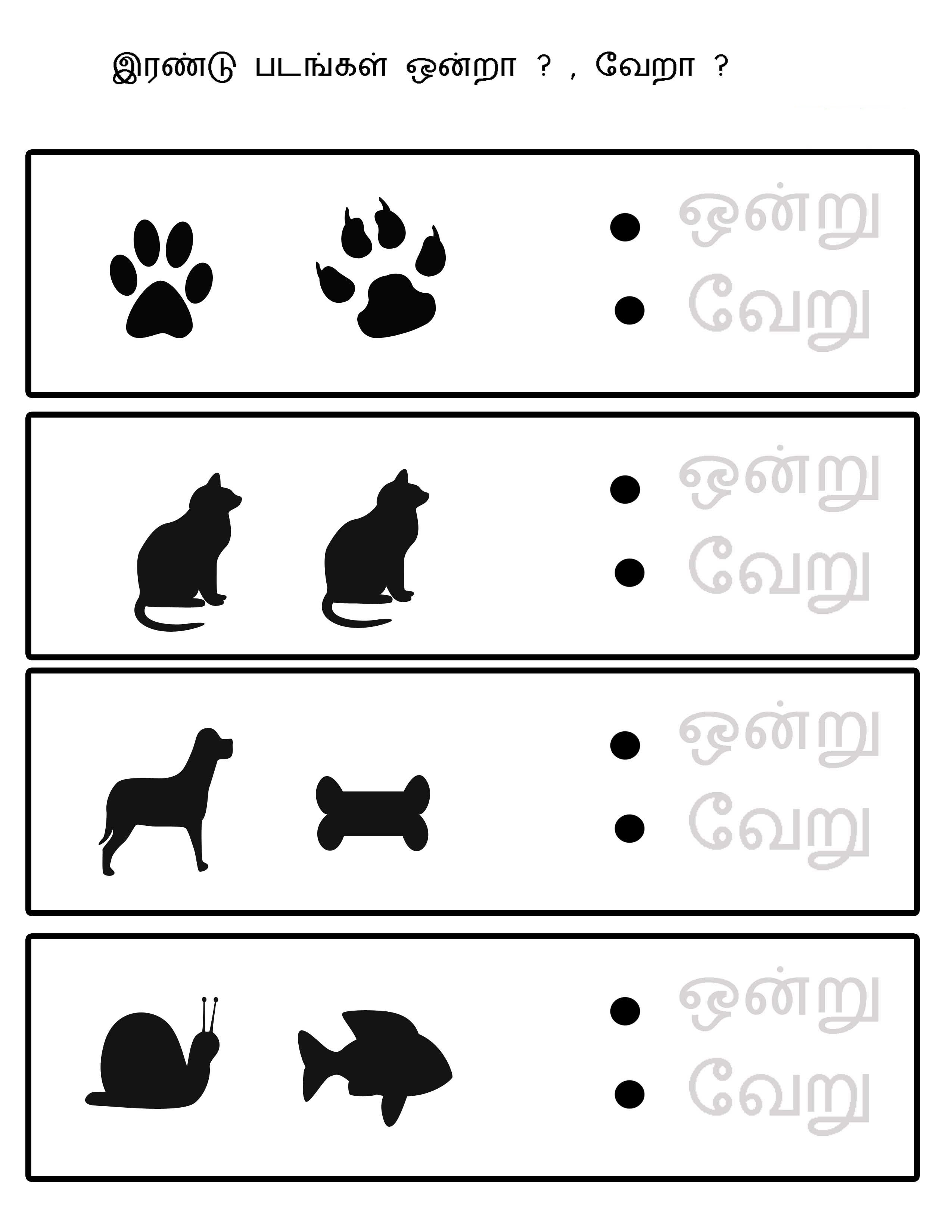 same different worksheets animals