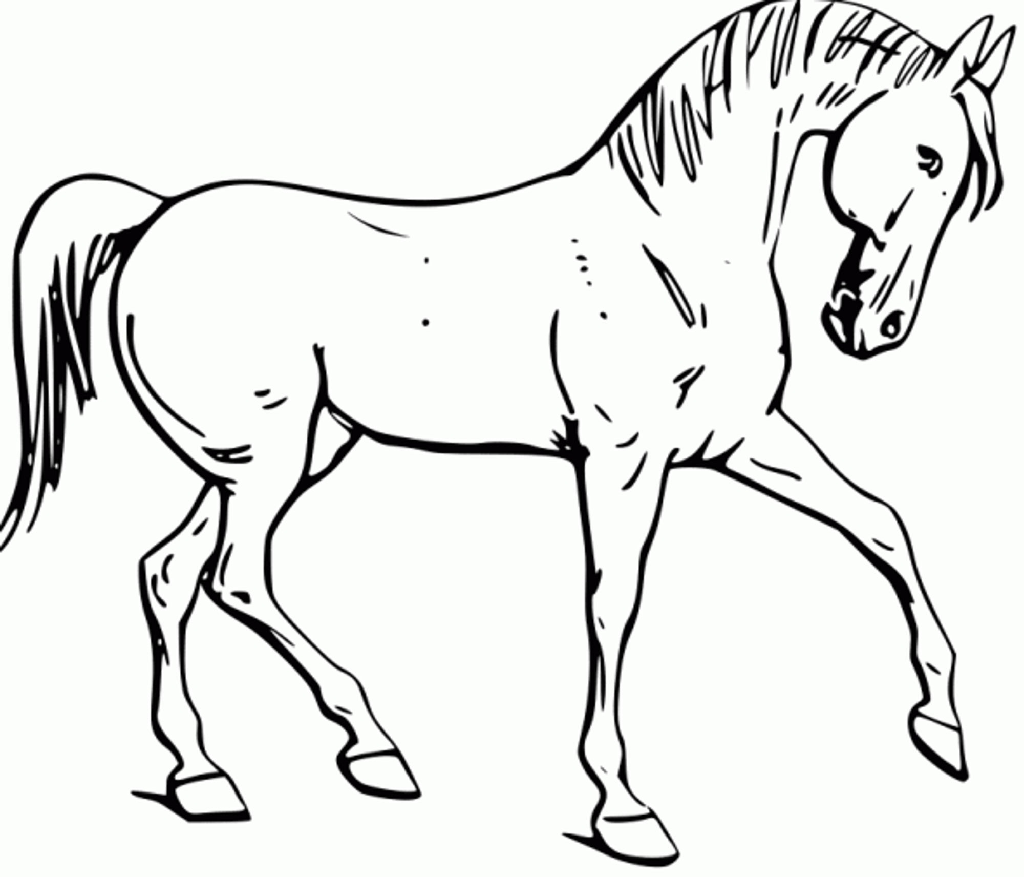 free-horse-color-pages-activity-shelter