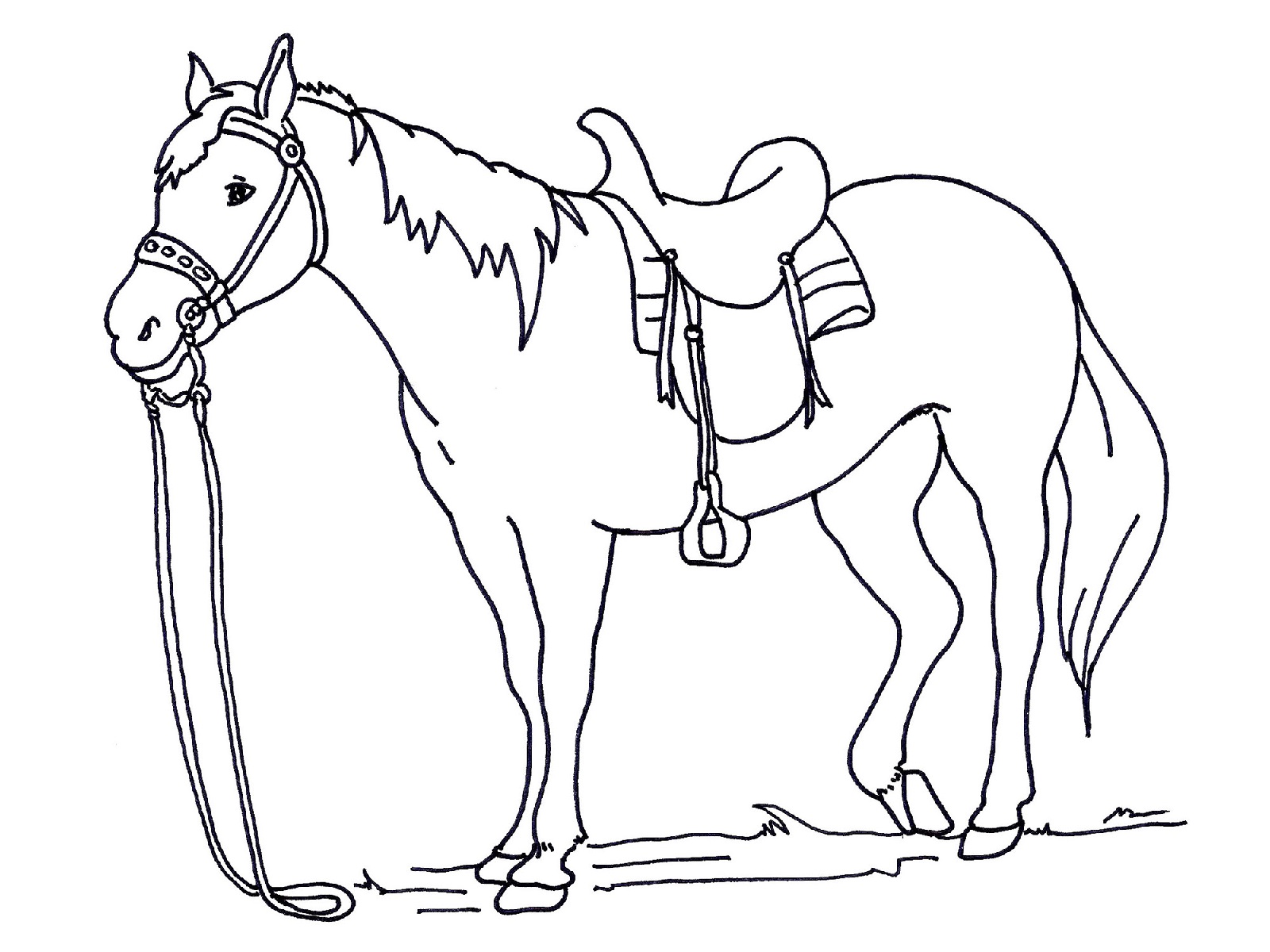 free-and-printable-horse-color-pictures-activity-shelter