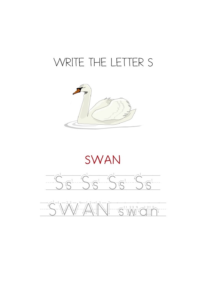 trace-letter-s-swan