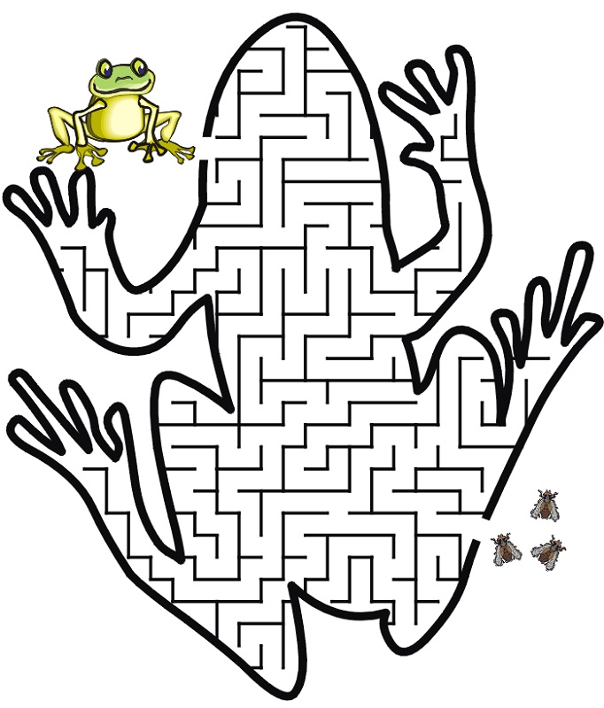 maze for children frog