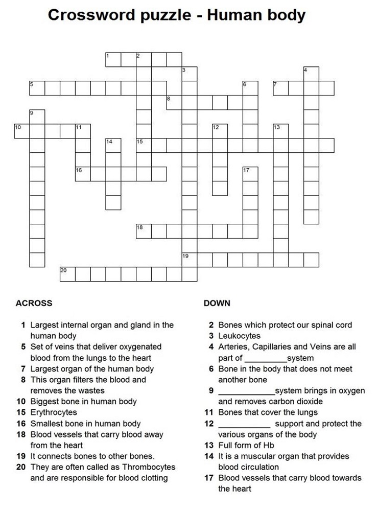 childrens crossword puzzles human