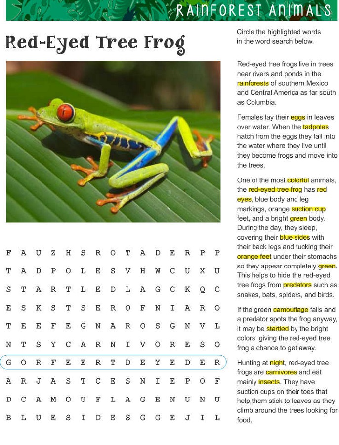 frog word search hard
