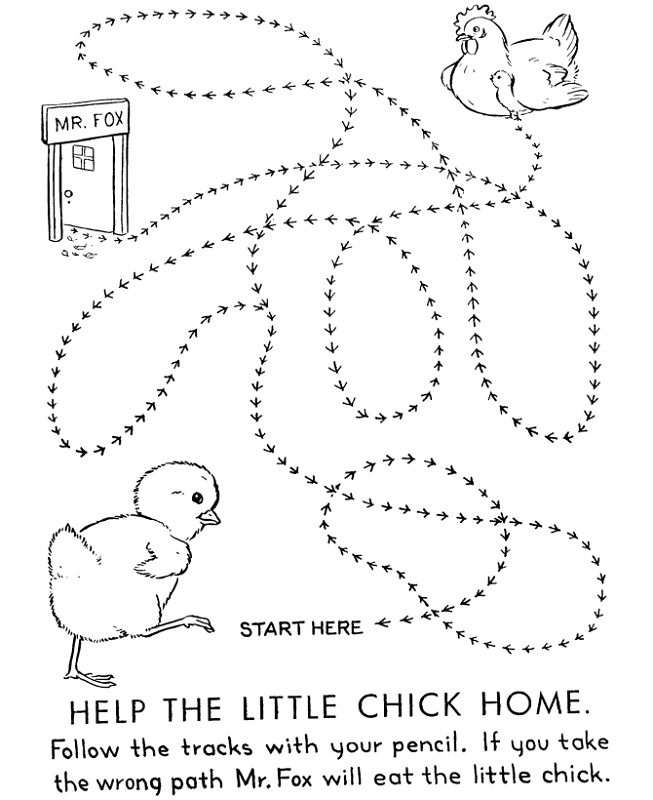 fun activity worksheets for kids chick