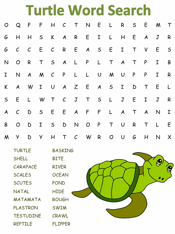 kid word search turtle