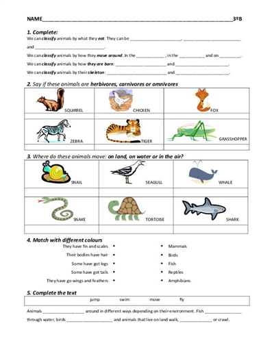 Free Worksheets for Elementary Students Science