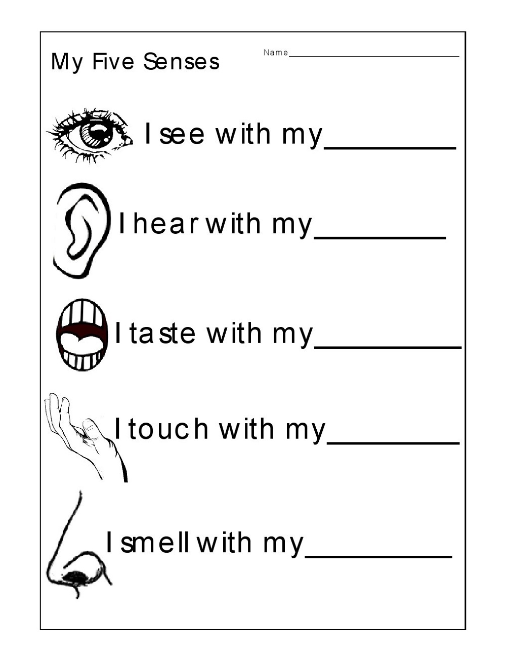Fun Sheets for Kids Senses