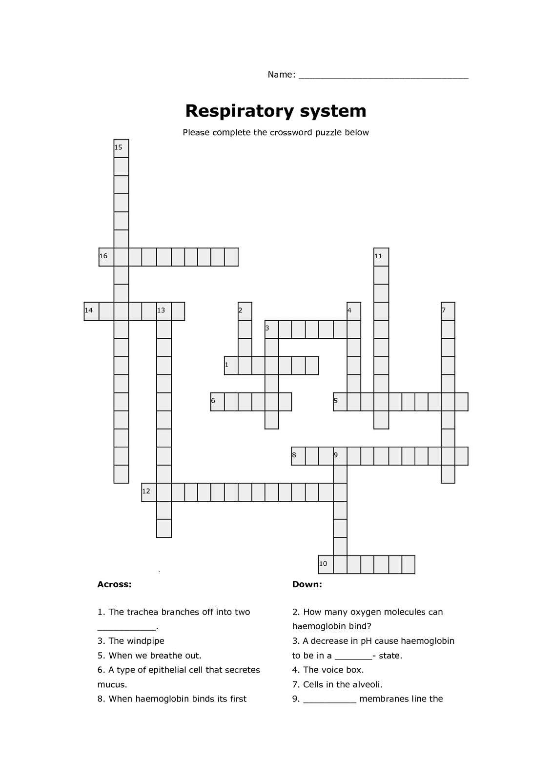 Respiratory System Crossword Puzzle | Activity Shelter