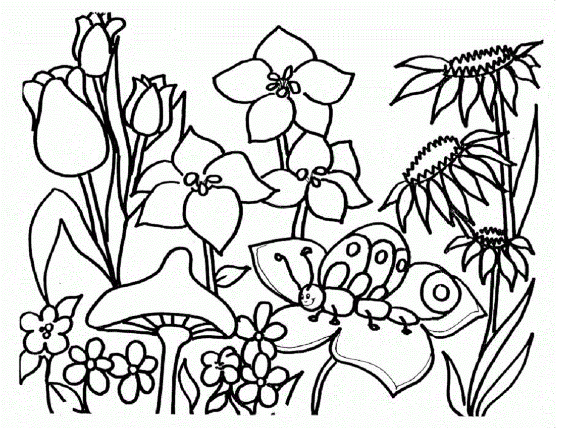 image via coloringpagesabc.com