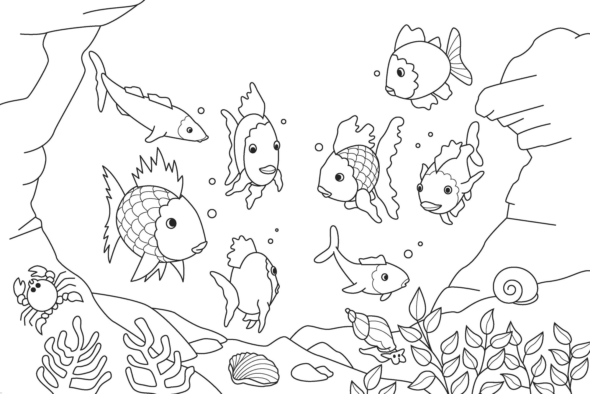 fish coloring page for kids