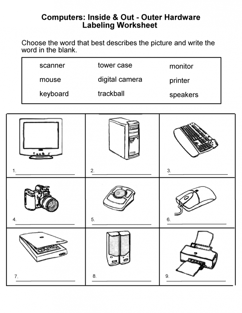 Grade 1 Worksheets For Learning Activity Activity Shelter