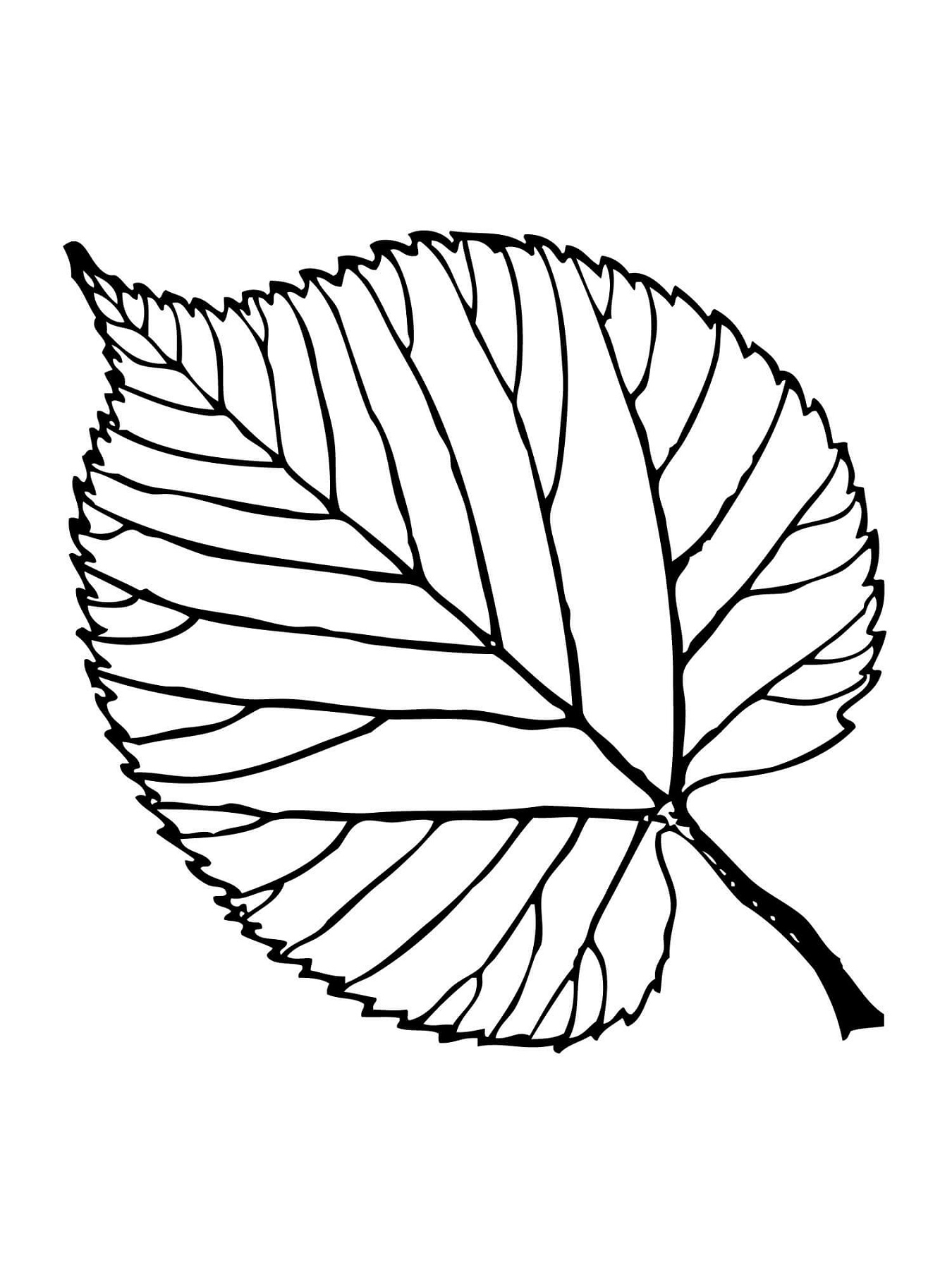 leaf coloring new