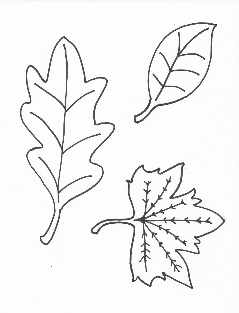 Leaf Coloring Pages for Preschool | Activity Shelter