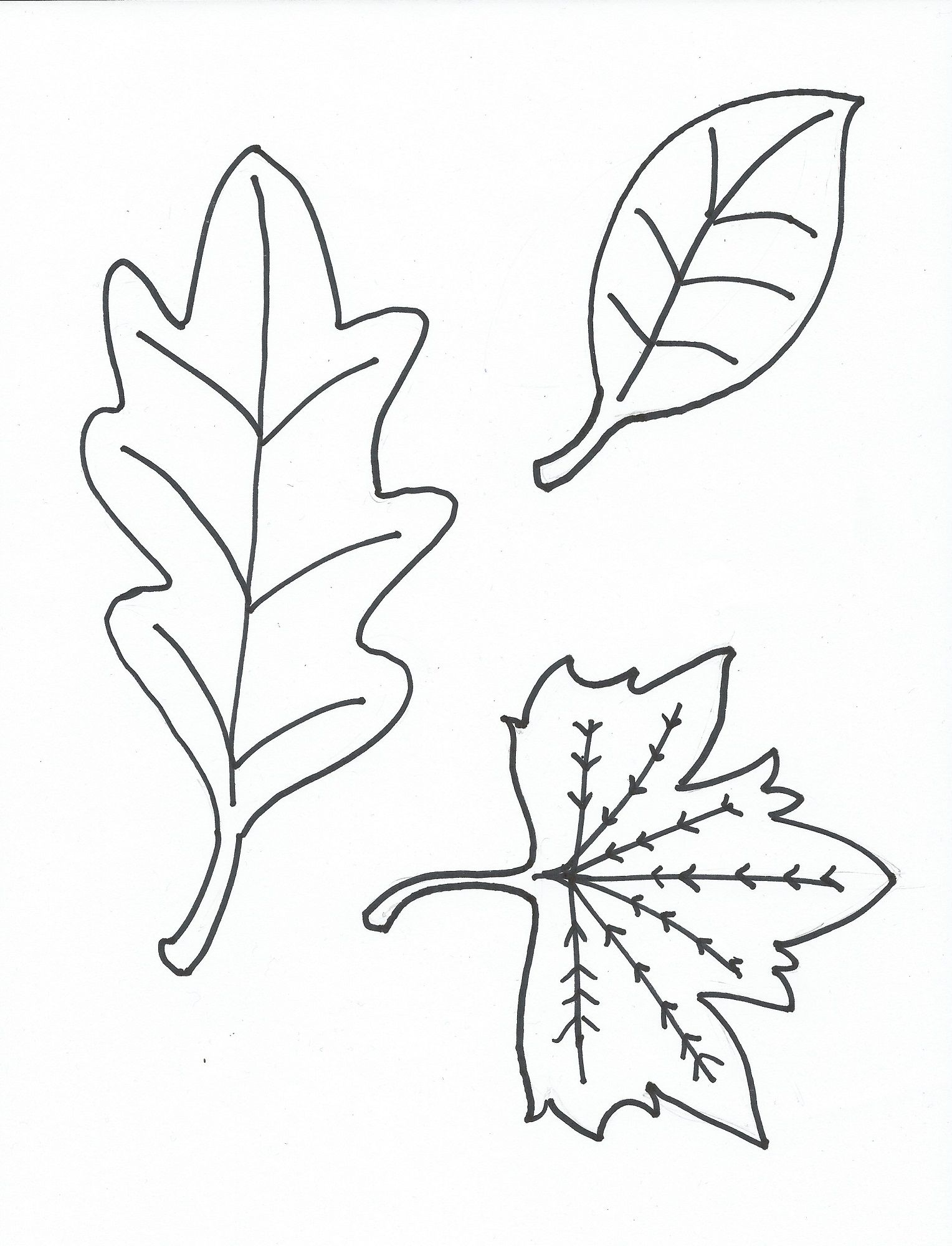leaf coloring page for kids