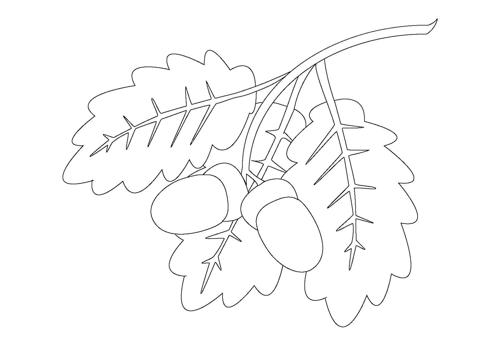 leaf coloring page oak