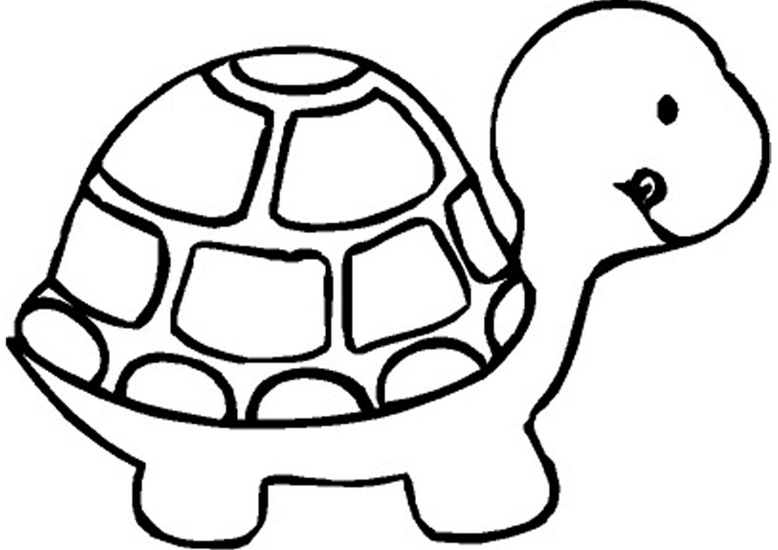 coloring book pages turtle