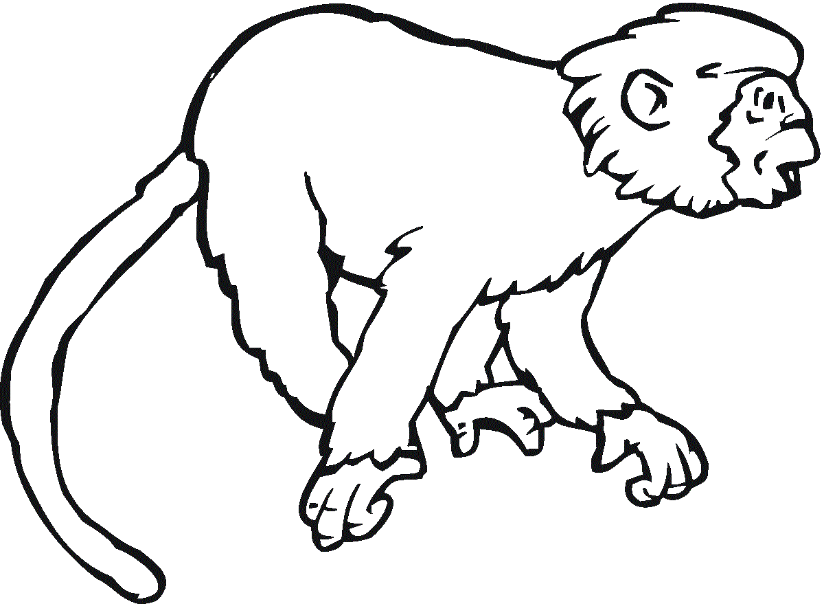 coloring pages of monkeys free