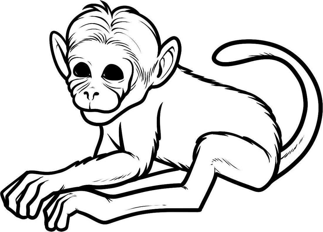 Download Coloring Pages of Monkeys Printable | Activity Shelter