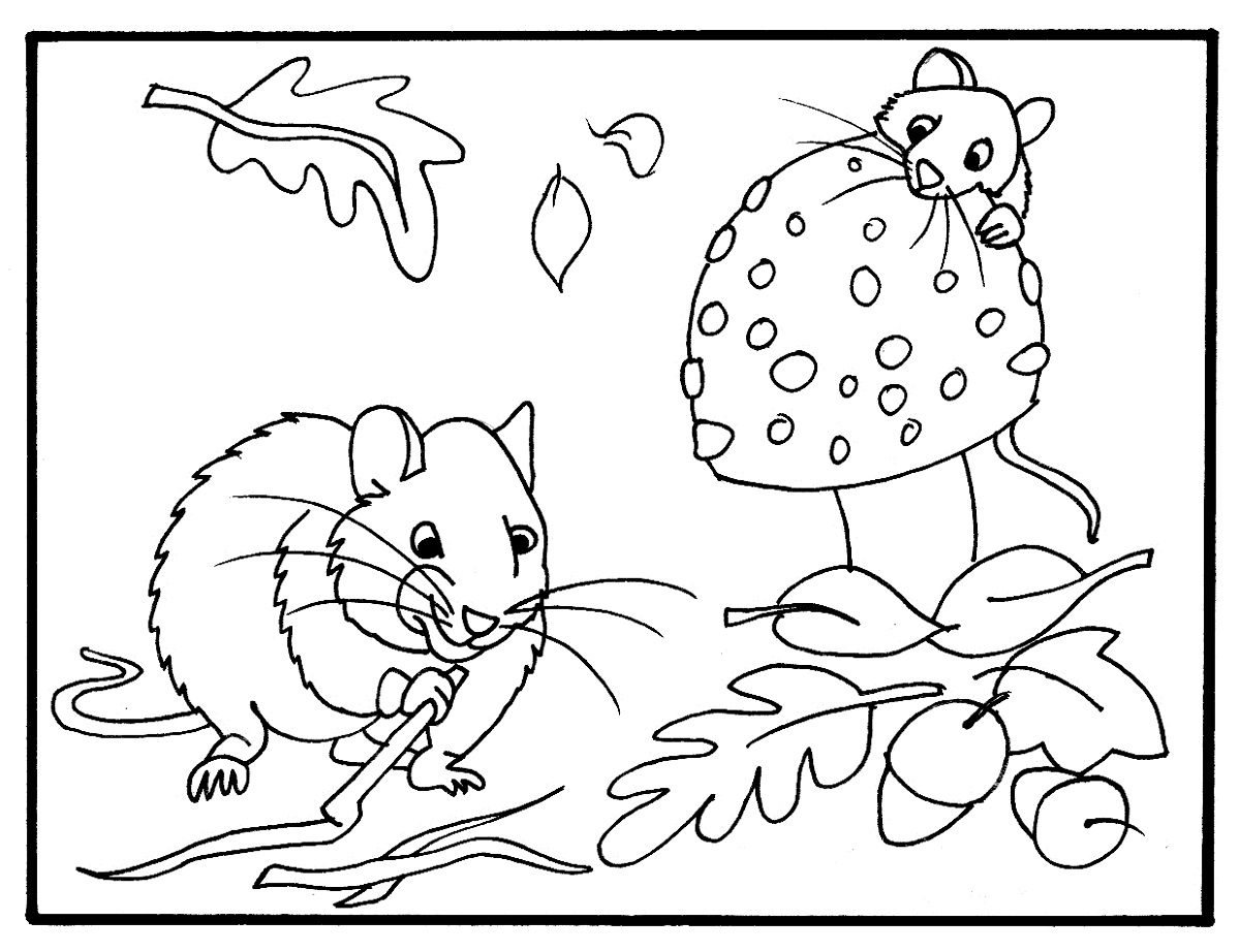 Download Fall Coloring Pages Printable | Activity Shelter