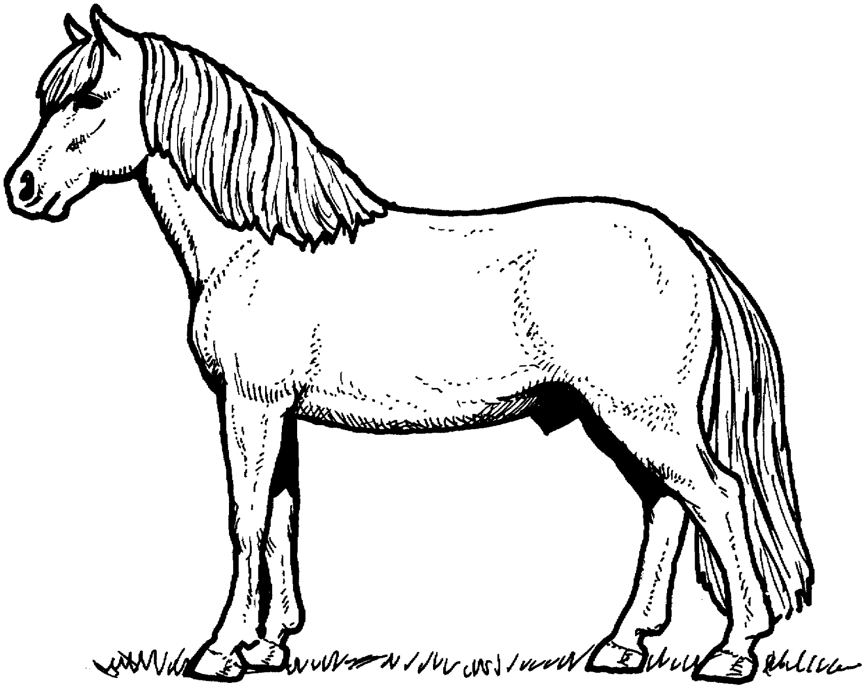 horse-color-sheets-for-children-activity-shelter-horse-coloring-pages