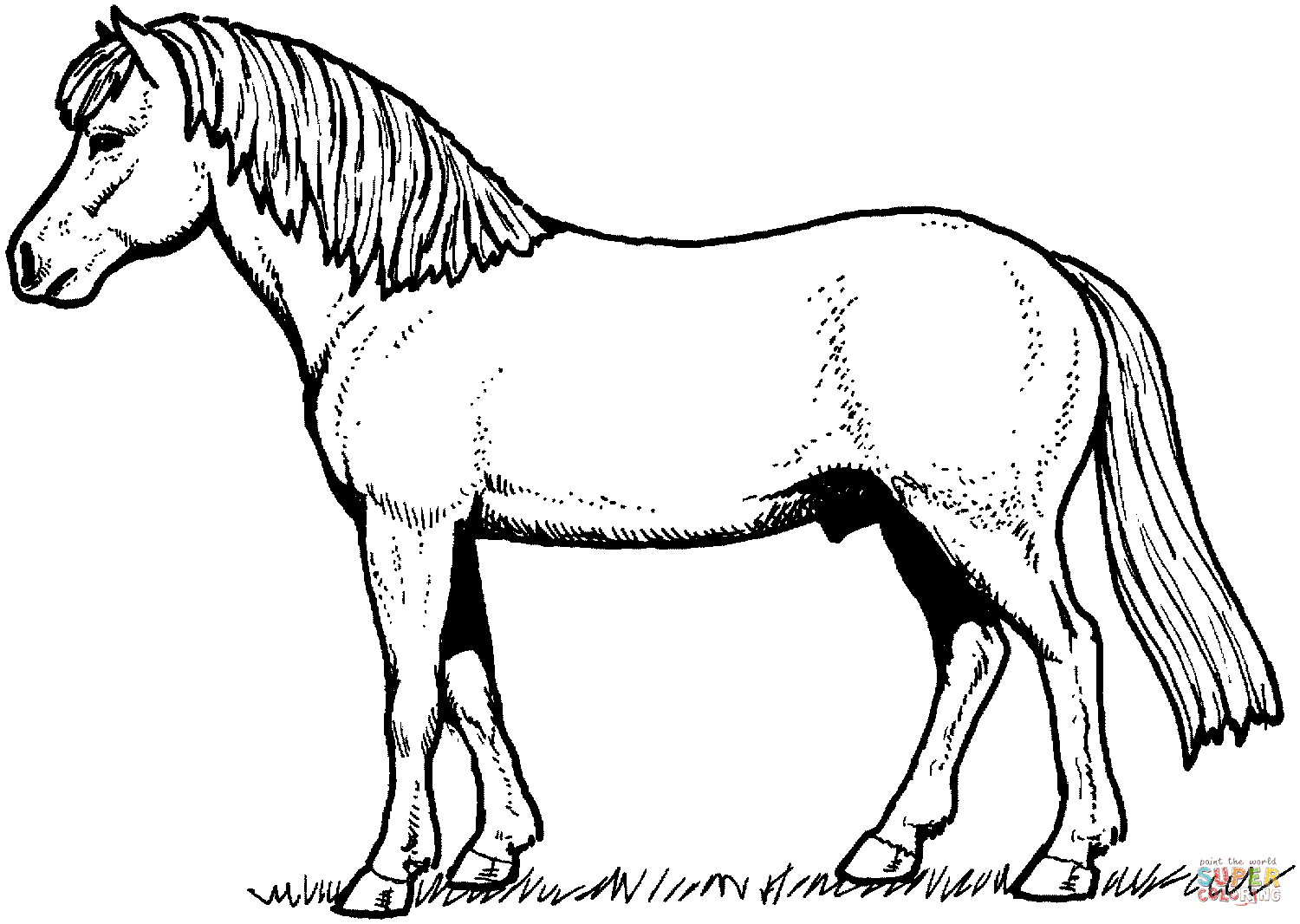 horse pictures for kids for coloring