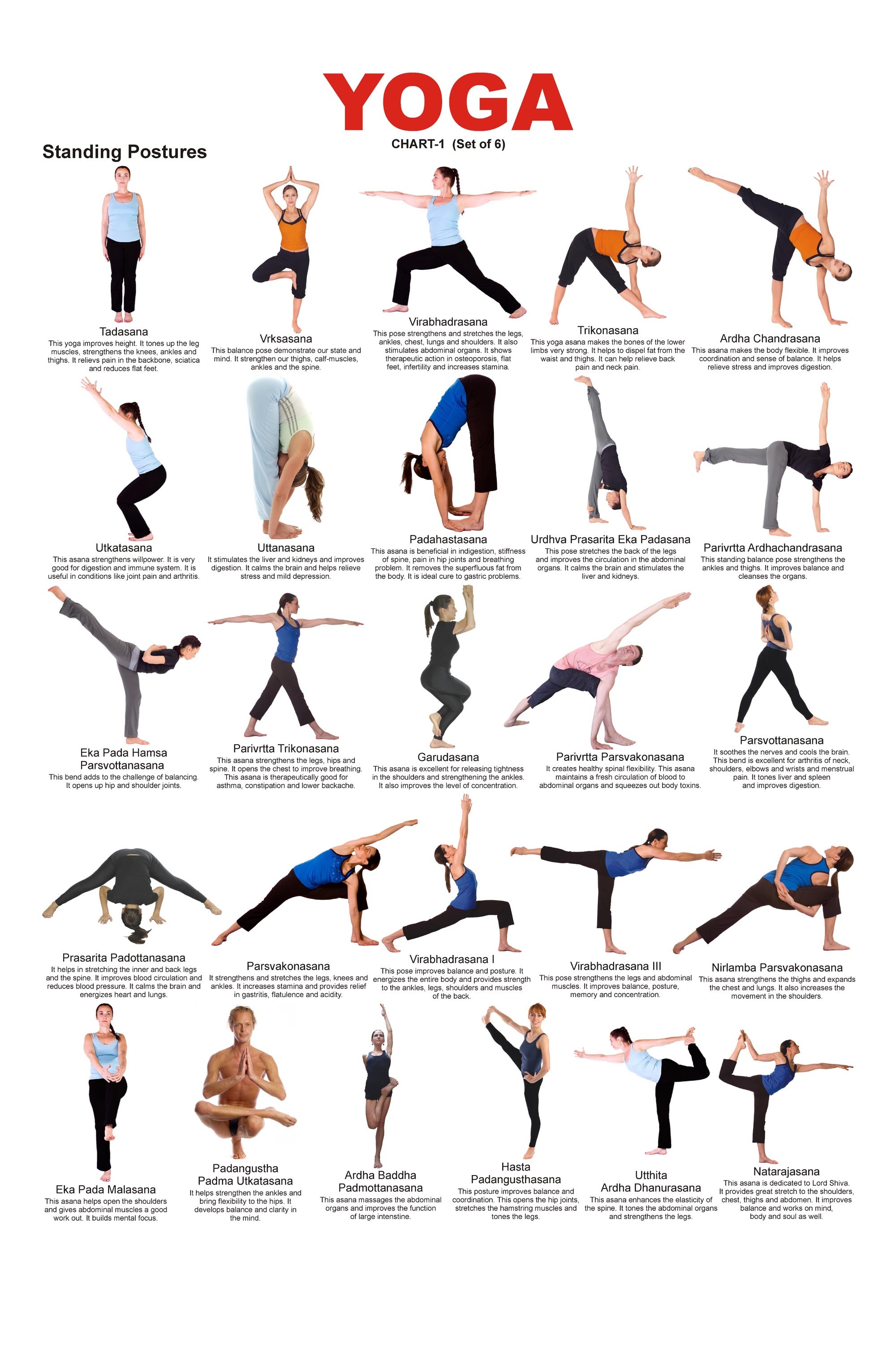 Yoga asanas with names Vectors & Illustrations for Free Download | Freepik