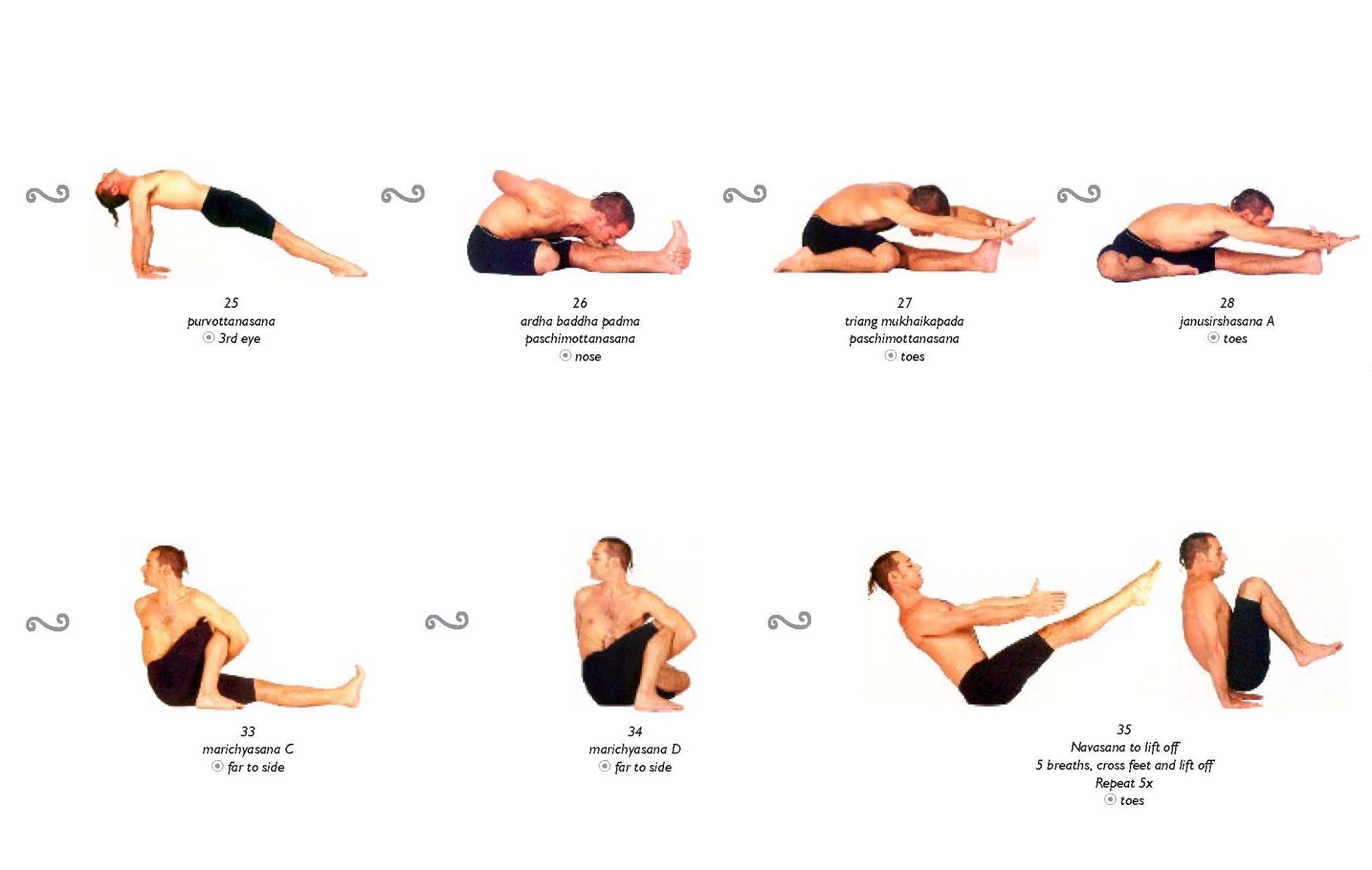 asanas yoga new