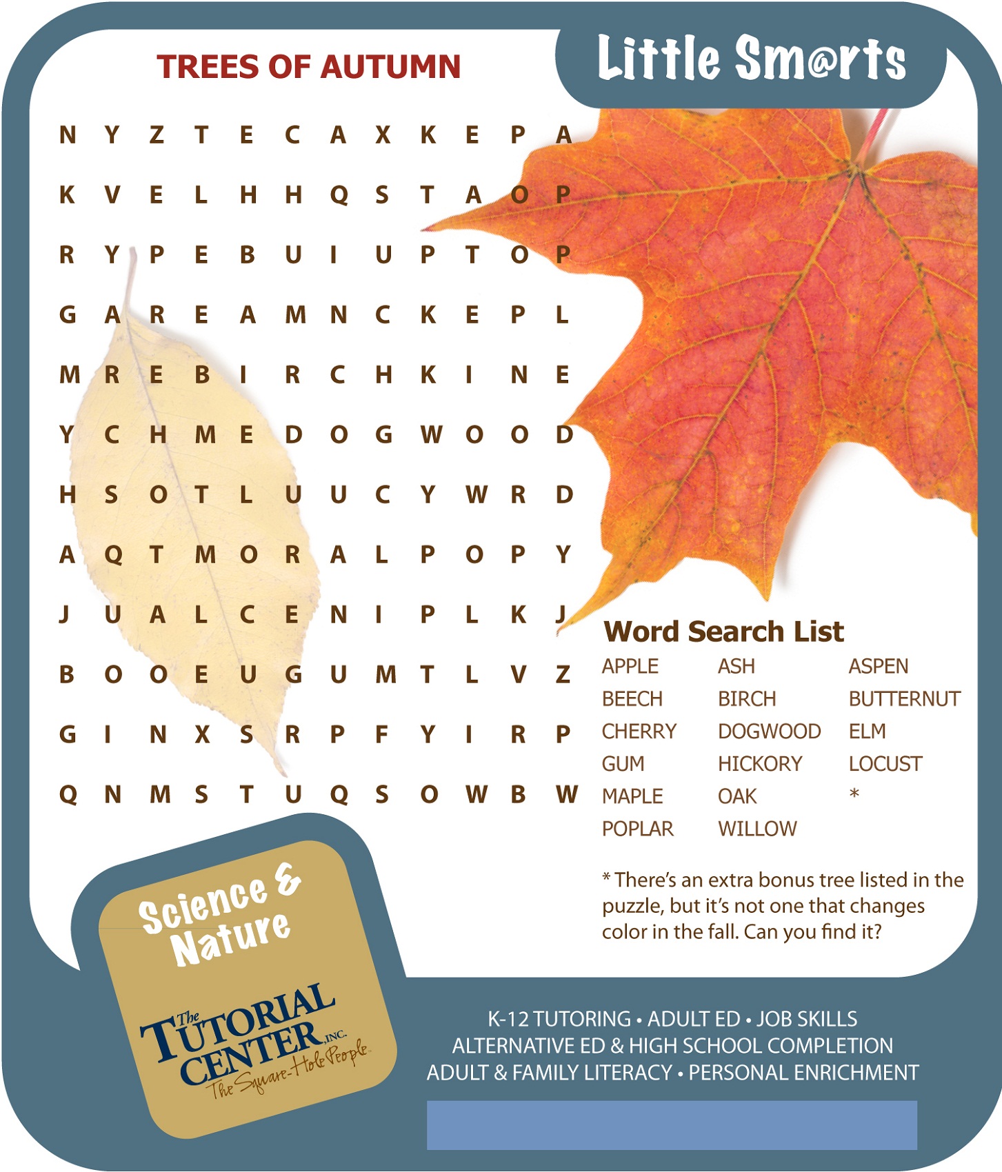 fall word search best