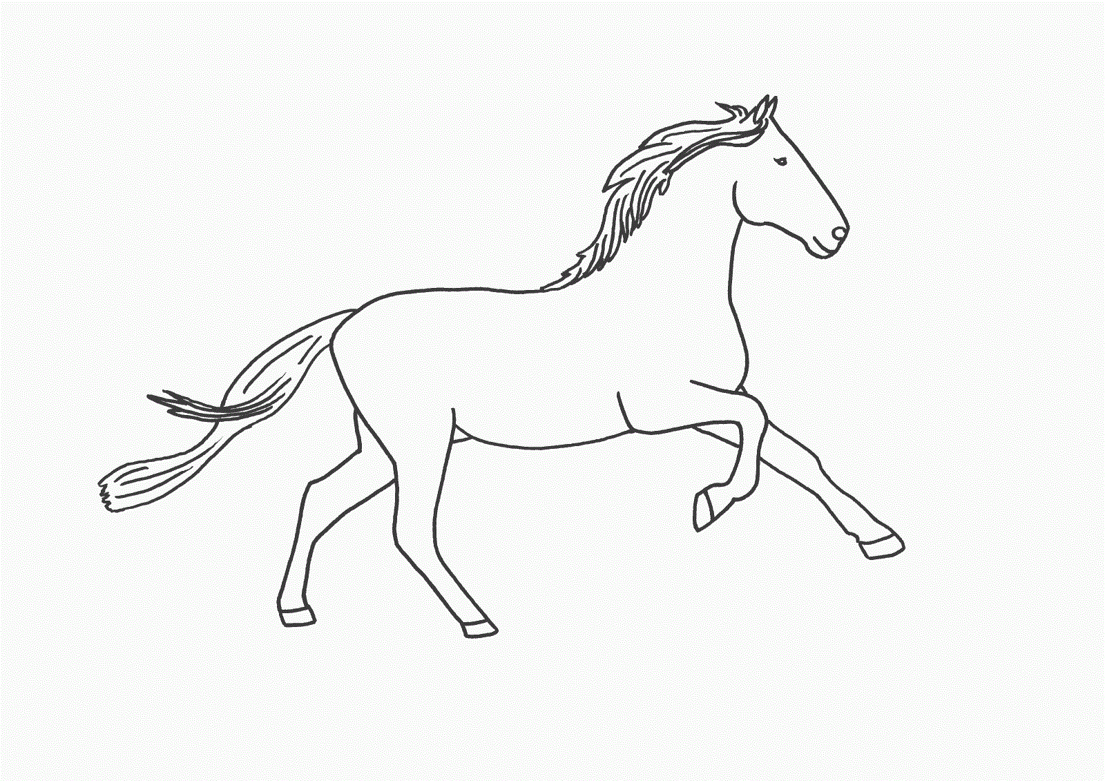 horse color sheet 2016