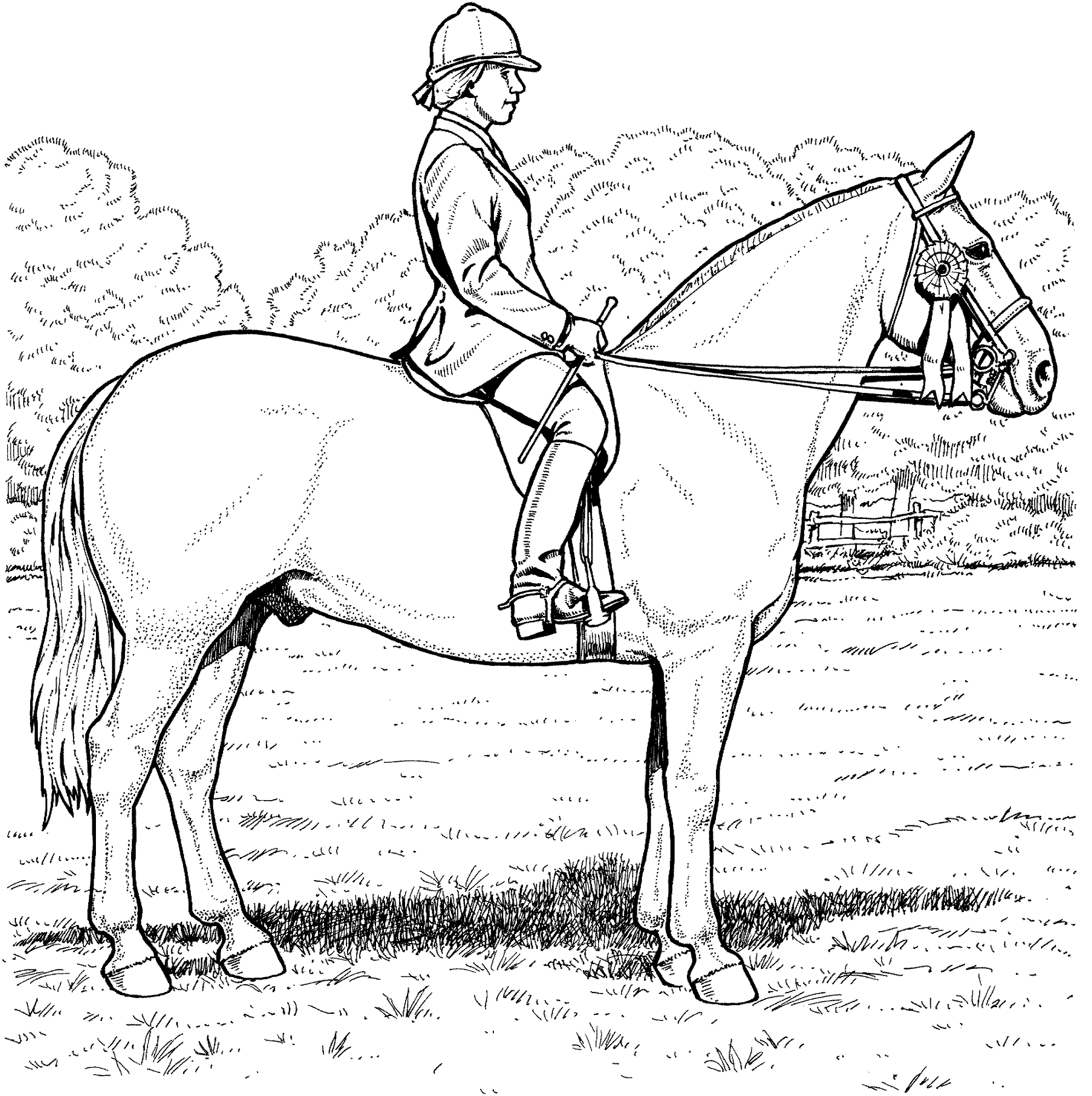 horse color sheet free