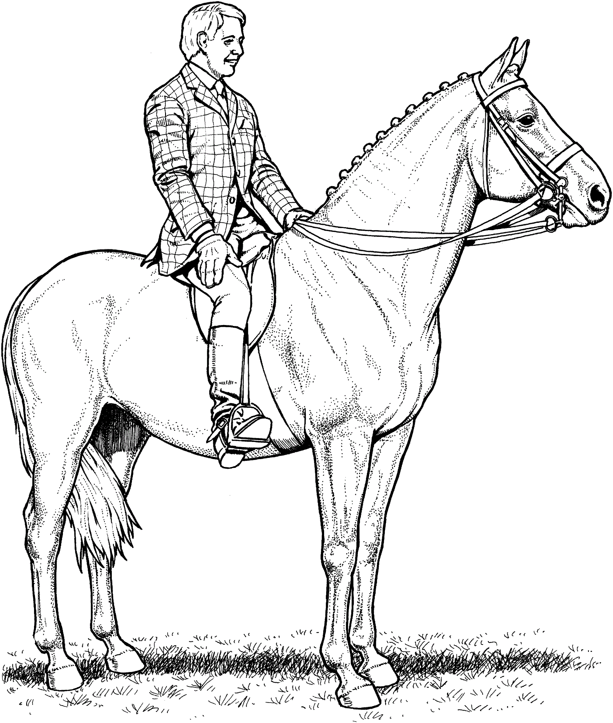 horse color sheet realistic