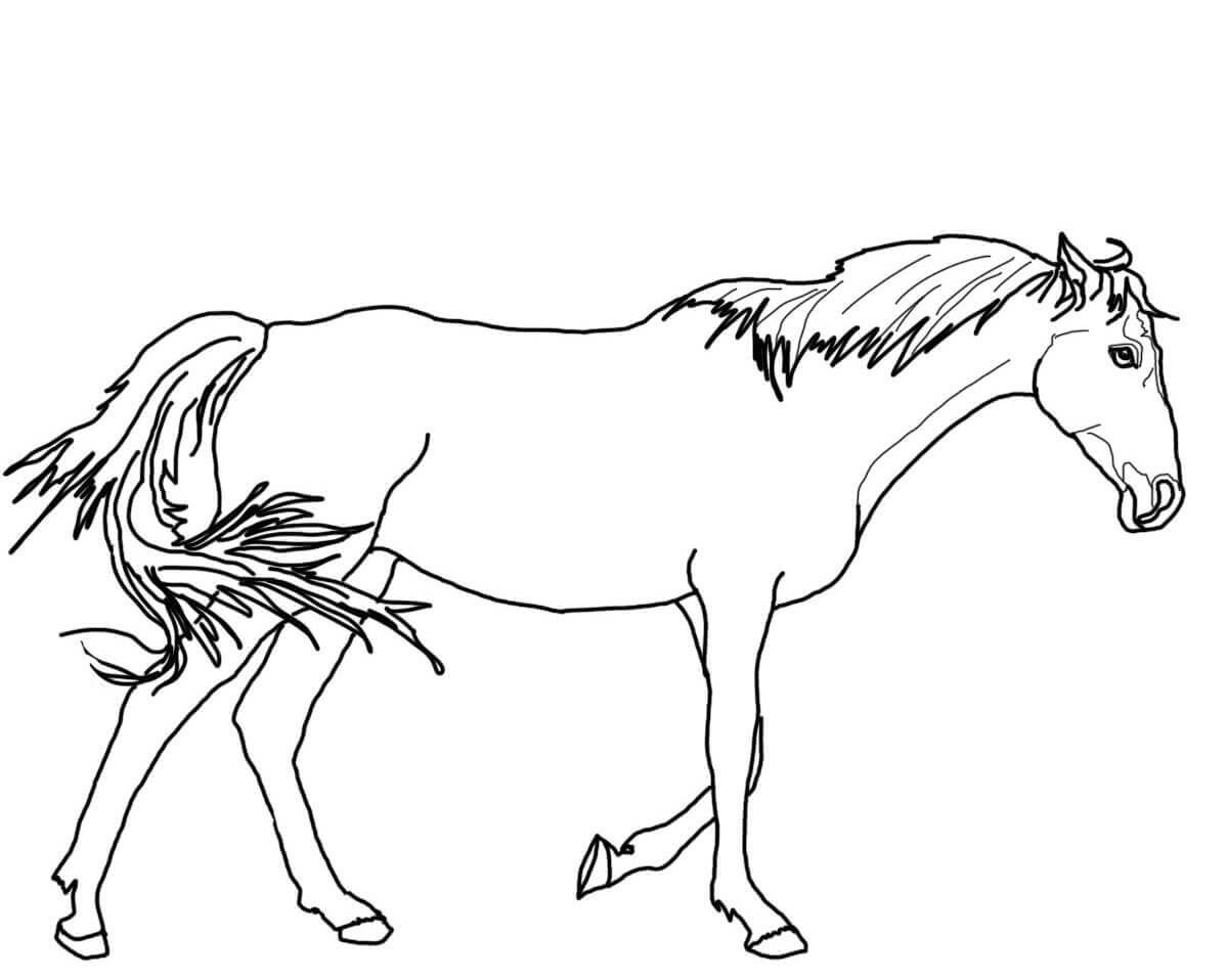 Download Horse Color Sheet for Kids | Activity Shelter