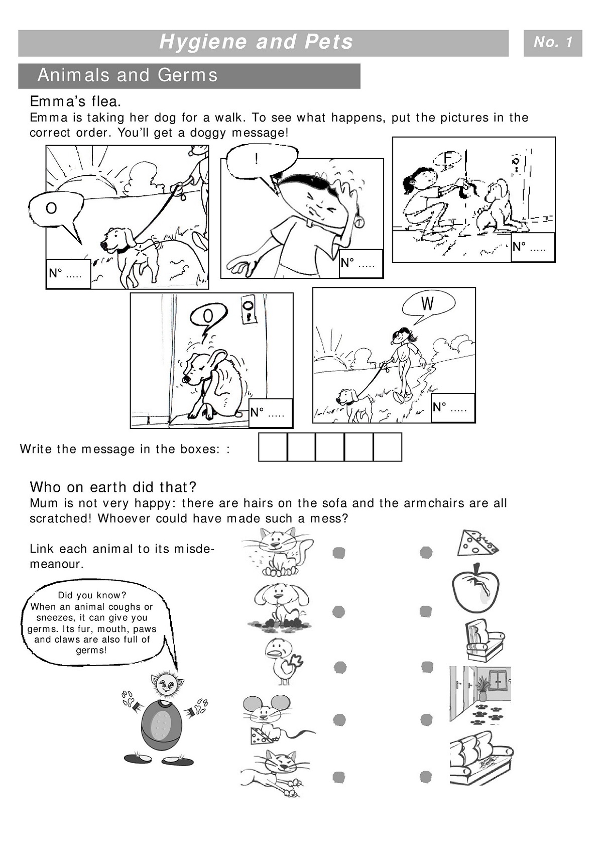 activity sheets for teenagers about animals