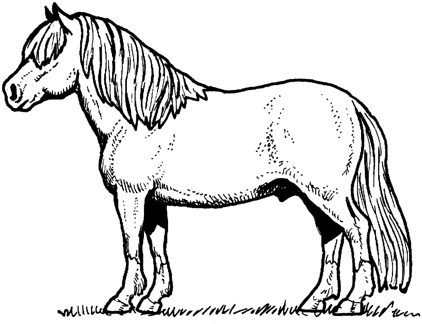 color-pages-of-horses-for-kids