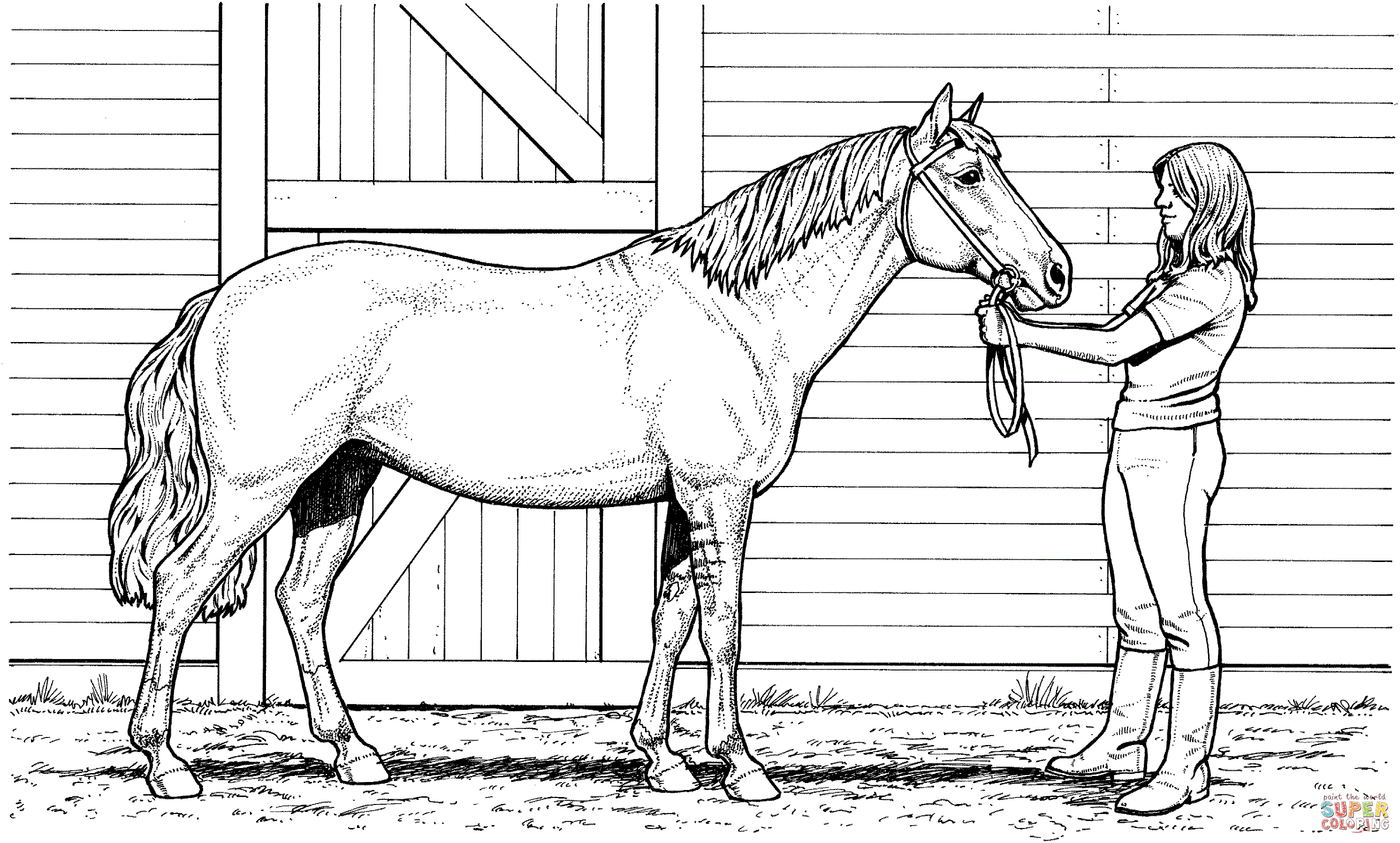 color-pages-of-horses-free