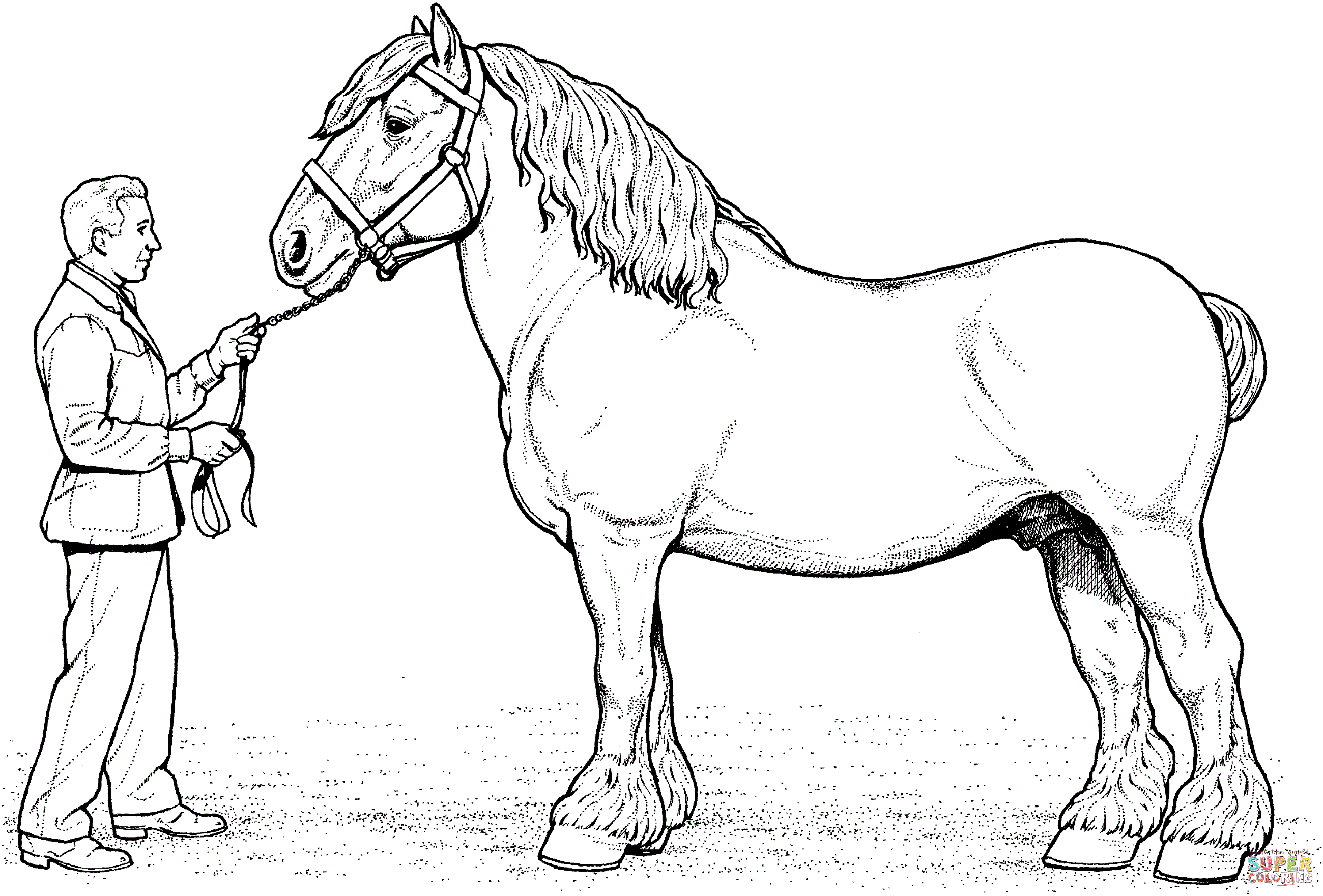 Free Horse Color Pages | Activity Shelter