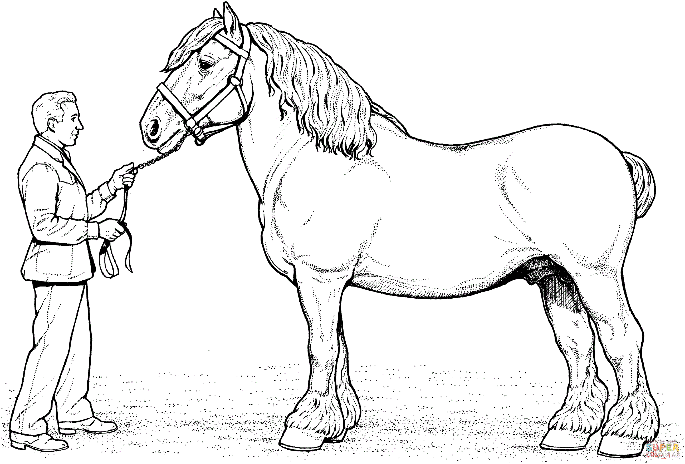 Download Free Horse Color Pages | Activity Shelter