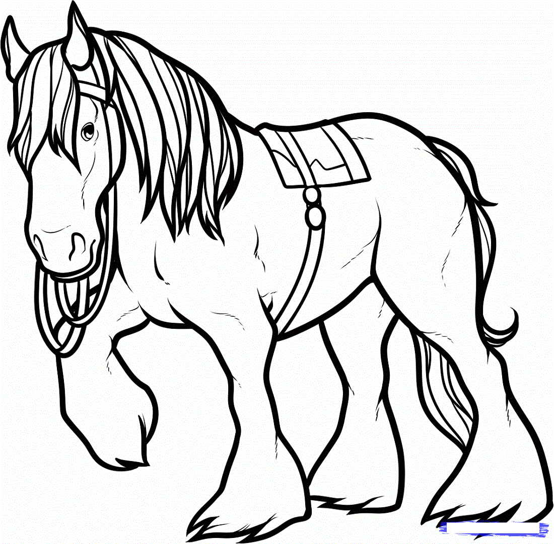 Draft Horse Coloring Pages Coloring Pages