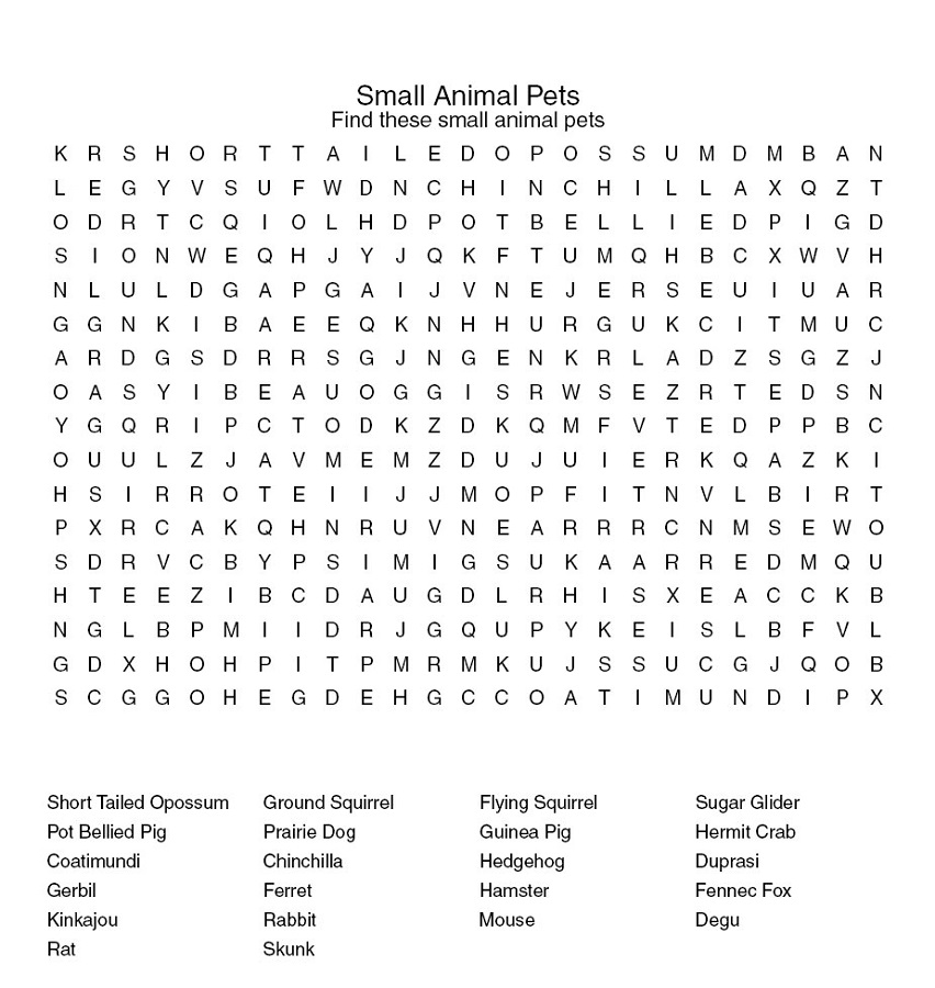 Pet Word Search Printable Activity Shelter