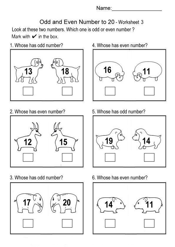 even and odd worksheets animal