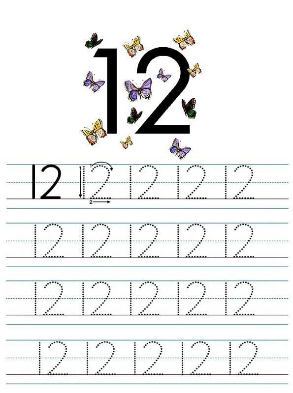 Free Printable Number 12 Worksheets