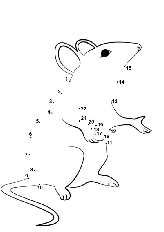 fun activity worksheets for kids mouse