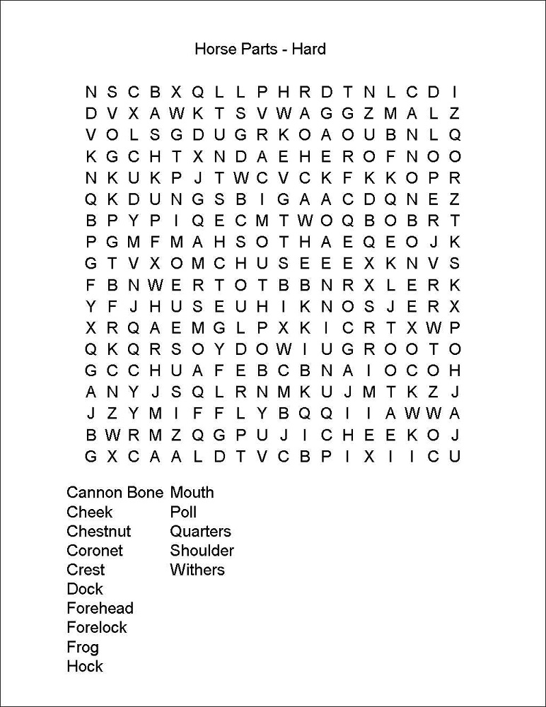 horse word search large